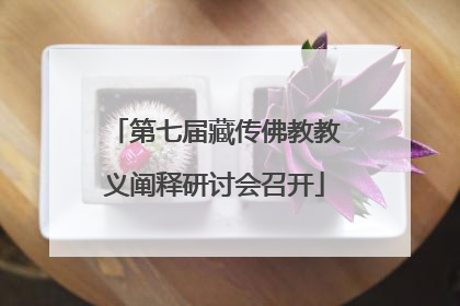 第七届藏传佛教教义阐释研讨会召开